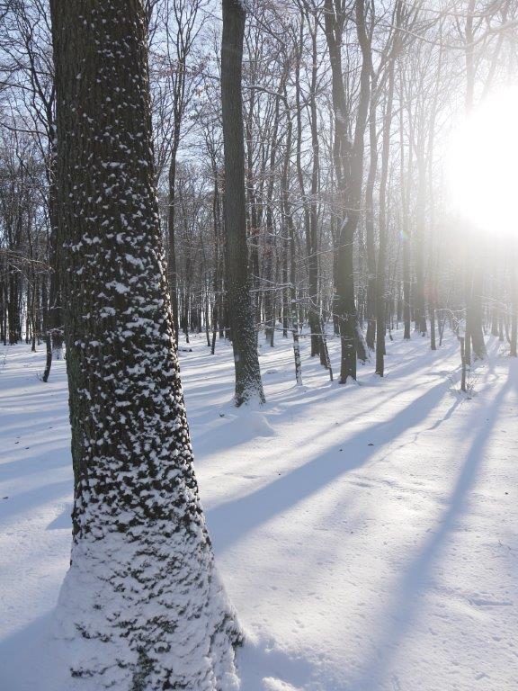 Winter-2014-verkleinert in