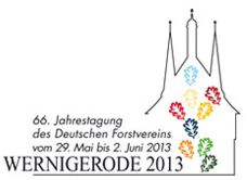 Dfv2013 in